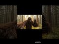 THE GORILLA VLOGGER