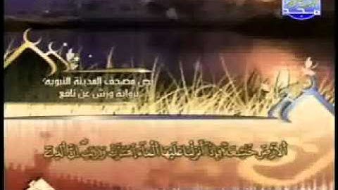 سورة فصلت الشيخ العيون الكوشي