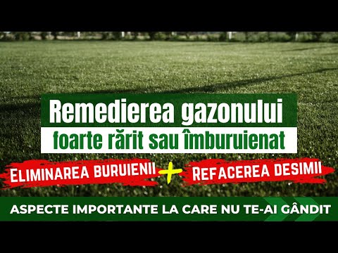 Video: Cum rămâne gazonul artificial jos?