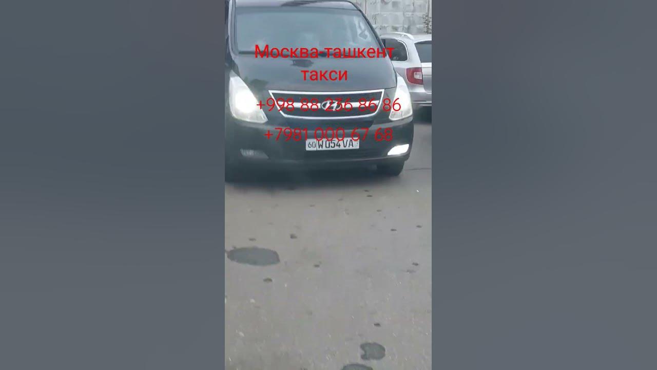 Москва ташкент такси. Такси масква узбекистон. Ташкент москва автобус такси. Москва ташкент такси. Москва ташкент такси.