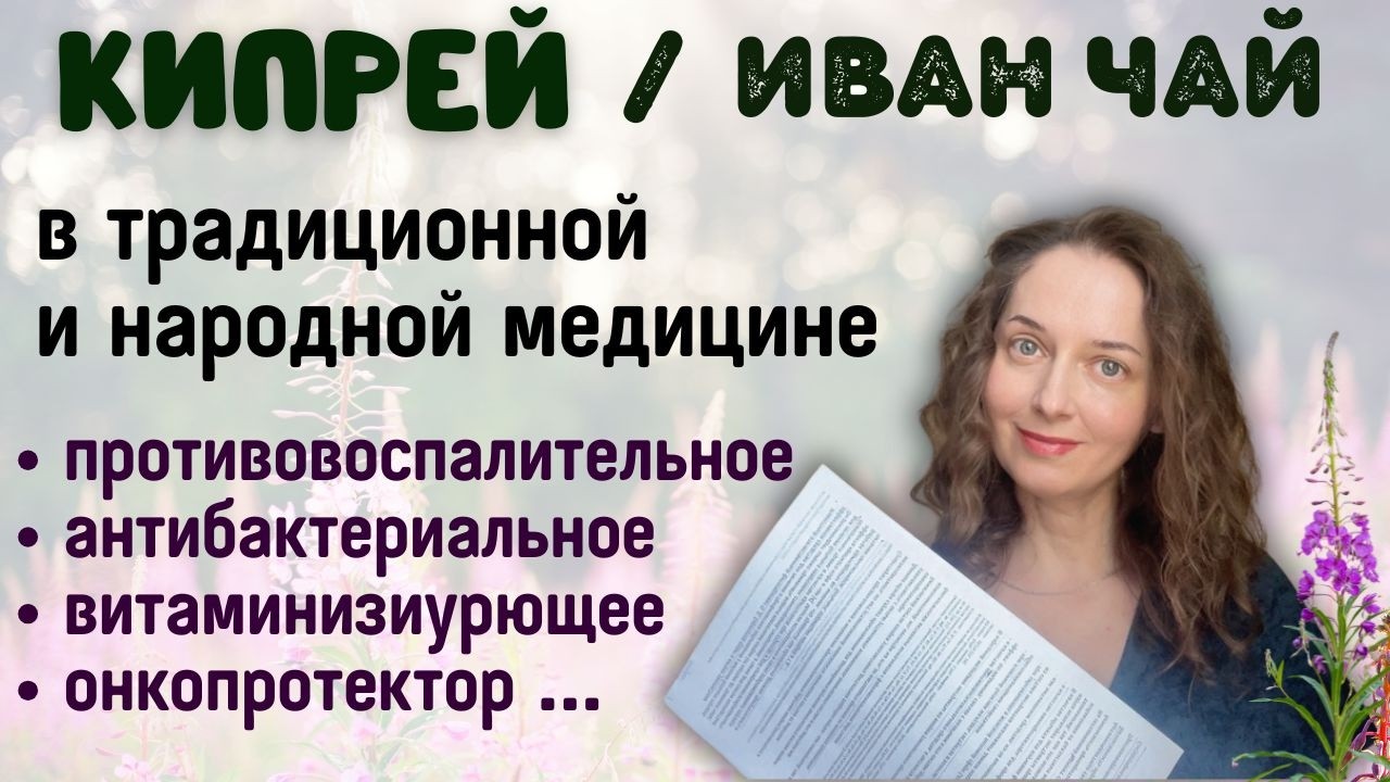 Действие кипрея (иван чая). Результаты исследований.