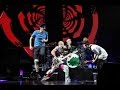 Red Hot Chili Peppers - Yertle the Turtle (Live at Hannover, Germany 2016) (Soundboard) [HD]