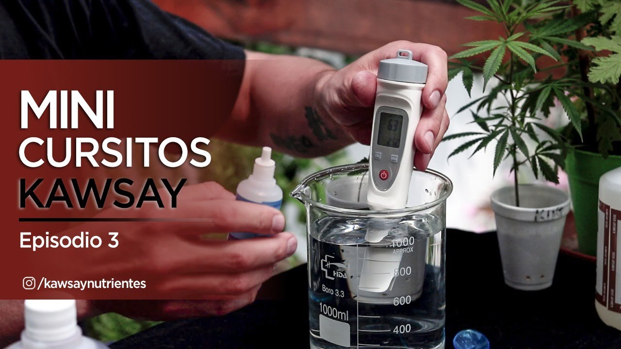 MINI CURSITOS KAWSAY - EP 3 - CÓMO EQUILIBRAR EL pH