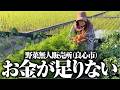 最近お野菜を無人販売所(良心市)にだしたらお金が足りなくなり始めました【春大根・人参収穫】