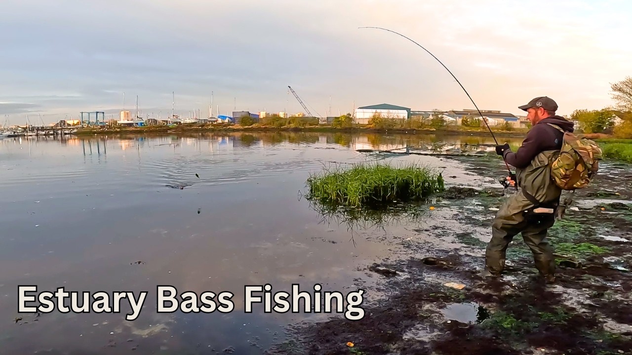 Estuary Bass Fishing – Do Creature Baits Perform?