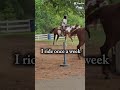 3 year gap #fypシ゚viral #fypage #fypp #fyp #horse #love