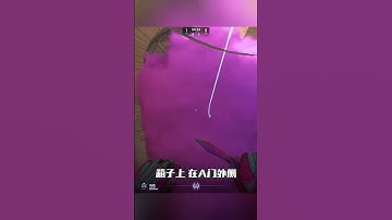 讲真的，道具还得看职业哥的。这三颗沙二烟雾弹，是真有用！ #cs2 #csgo #dust2 #cs2道具教学 #csgo道具