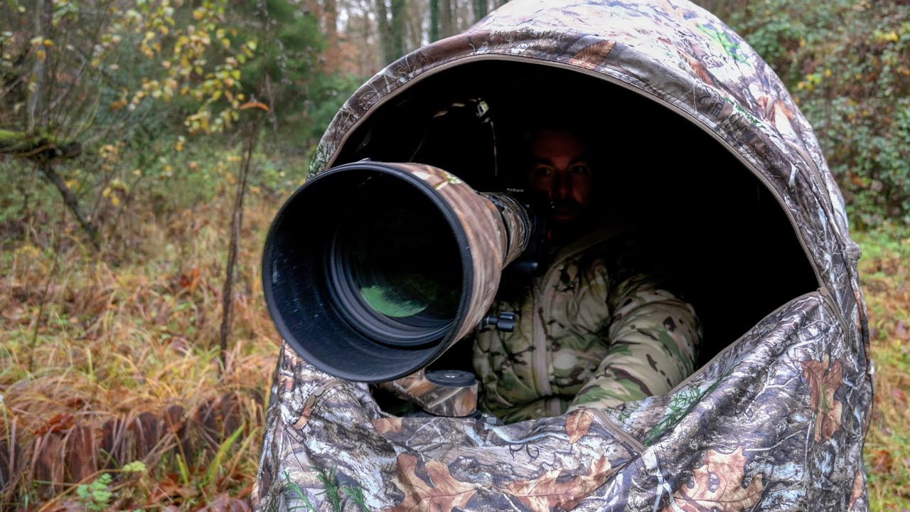 Low Light Bird Photography from a Blind Noise reduction Nikon Z9