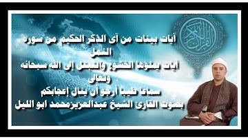 آيات بينات من آى الذكر الحكيم من سوره النمل تلاوه يملأوها الخشوع والتبتل إلى الله