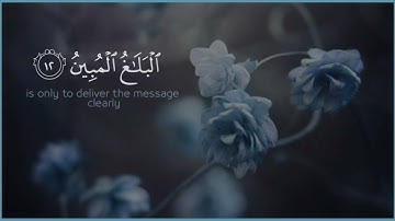 أرح سمعك 🥀القارئ: طارق محمد 🍃حالات واتس آب