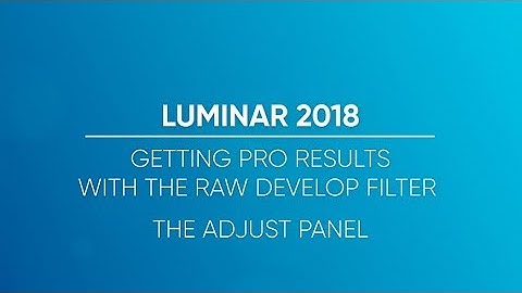 Getting Pro Results with the RAW Develop Filter - The Adjust Panel