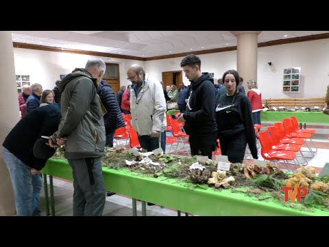 Exposición micológica y charla a cargo de José cuesta 'Chepe' - Regumiel de la Sierra 2024