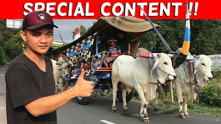 BEING A BASTARD ON INDEPENDENCE DAY