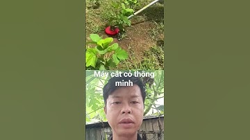 máy cắt cỏ thông Minh giúp nông dân được hiệu quả cao #funny ####farming