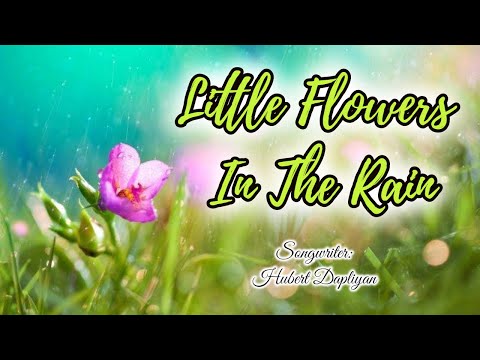 Little Flowers In The Rain 2020 (With Lyrics) by LifeBreakThroughMusic