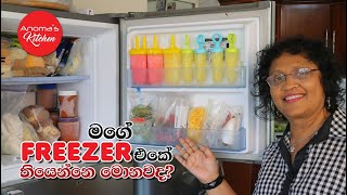 මගේ Freezer එකේ තියෙන දේවල් - Episode 1048 - Things in my Freezer - Anoma's Kitchen Tips