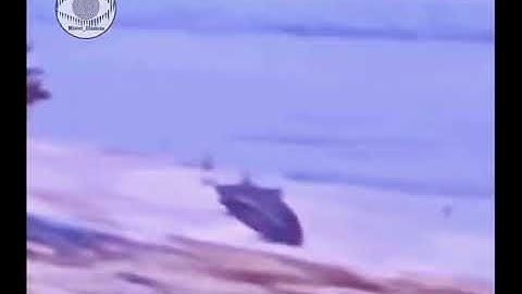 Fake matrix glitch - reality error strange fish swim out of water