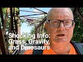 Shocking NEW Details About Dinosaurs, Gravity, and Grass Cutting