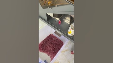 RealTech Ruby Color Sorting