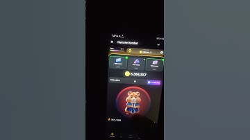 Hamster kombat  | New Daily cipher code 8 july #hamsterkombat #hamsters