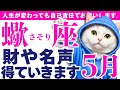 【蠍座】お金と仕事ｶﾞﾝｶﾞﾝ成功していくﾌｩ~~!!!😆しかも続きそうﾌｩ~~!!!👍│ルノルマンカード│西洋占星術│運命を変える占い【2026年5月】