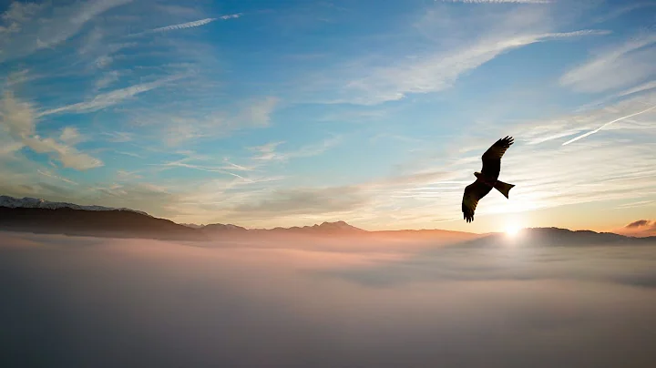 "Master of the Wind" by Teresa Alllan Burch - "SON...