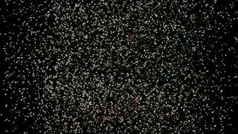 Tutorial Poser7 Animation