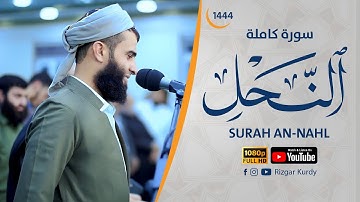 سورة النحل ( كاملة ) للقارئ رزكار الكردي | Rizgar kurdy Surh An-Nahl