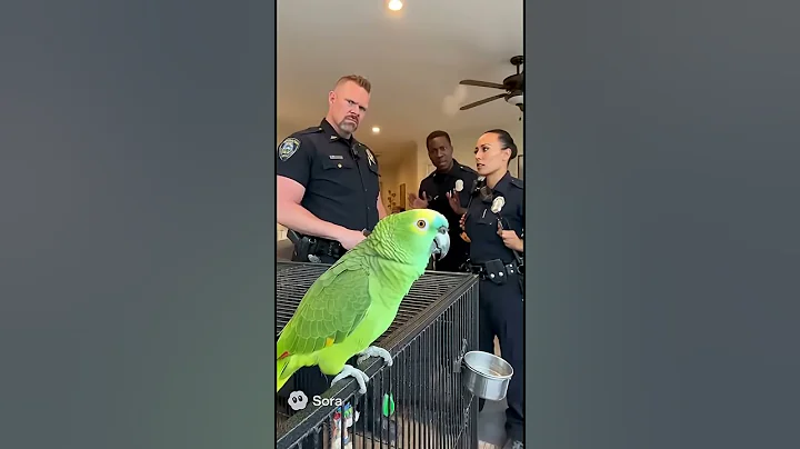 Parrot bullying the cops. #parrot #sora #viral #wildlife #trending