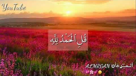 { قُلِ الْحَمْدُ لِلَّهِ |القارئ. معاذ العيد |ارح سمعك //حالات واتس /|ستوريات انستا☺️