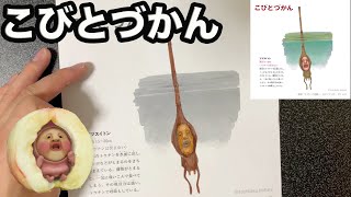 ツツスイトン を塗絵 こびとづかん Youtube ツツスイトン を塗絵 こびとづかん Youtube