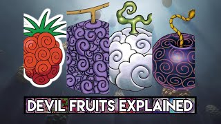 One Piece Devil Fruit's Explained!