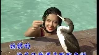 蔡琴 - 綠島小夜曲 (蔡琴老歌卡拉OK)