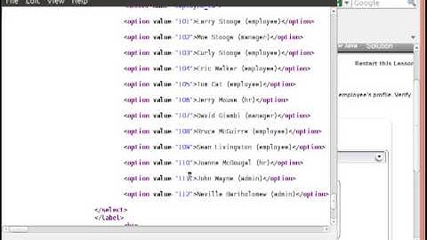 WebGoat   Bypass Data Layer Access Control   Stage 3   Diego e Marcio