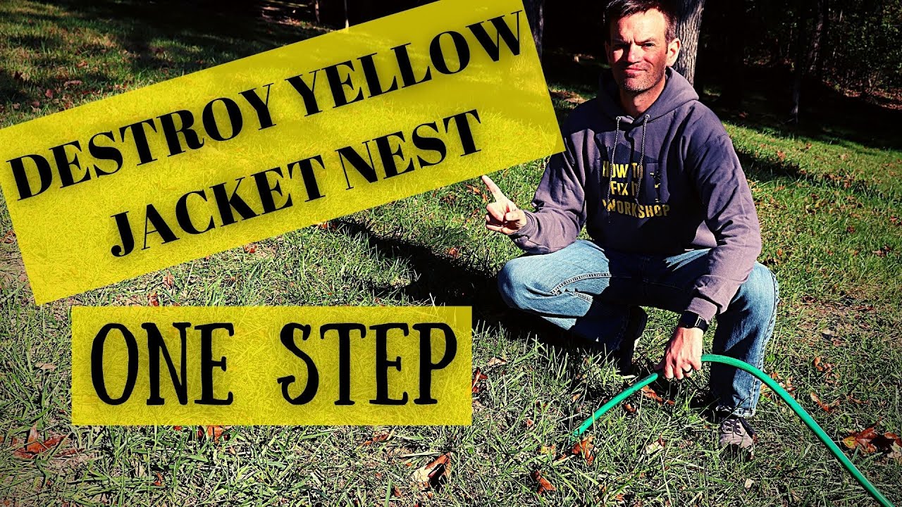 How To Get Rid Of Yellow Jacket / Ground Wasp Nest With ONE STEP! YouTube