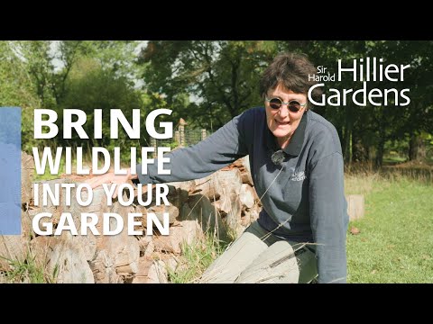 Video: Beneficial Wildlife - Information About Helpful Animals In A Garden