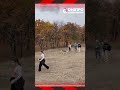 ☕️🍂 Тунельна балка в обіймах осінньої природи