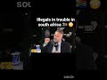 illegals are I trouble SA🇿🇦 #shorts #shortshorts #shortvideo #shortsfeed #southafrica #nigeria #sh