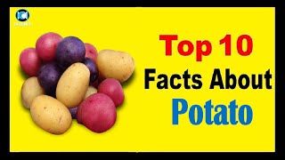 Potato - Facts