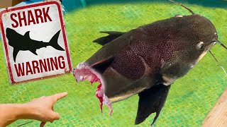 JAWS KILLED THE POND MONSTER by RAWWFishing 2,734,724 views 10 months ago 25 minutes