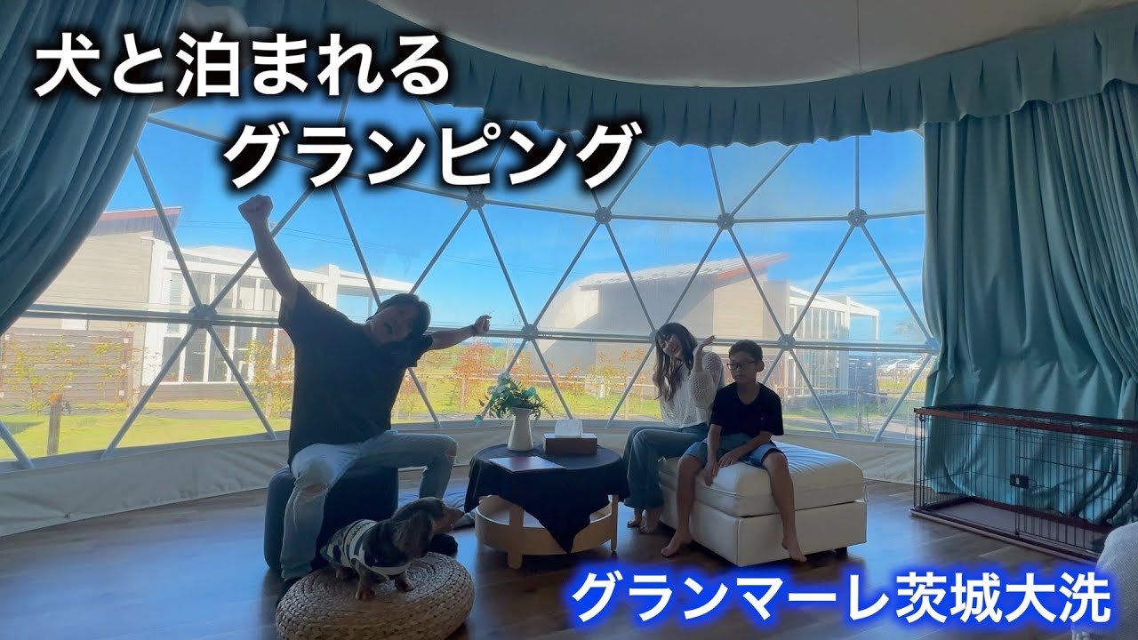 愛犬と泊まれるグランピングが最高で、ずっと楽しそうなヴィンくん【ミニチュアダックス】【グランマーレ茨城大洗】