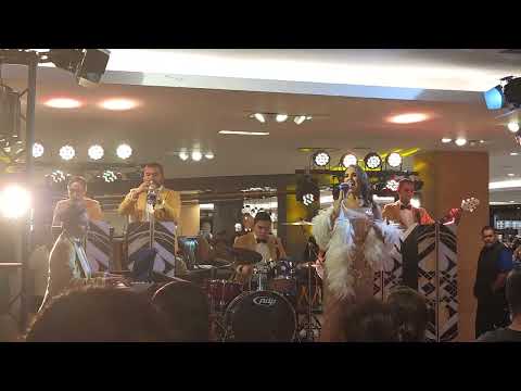 Mardi Gras Hotel Casino Las Vegas Walkthrough