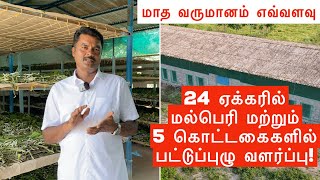 பட்டுப்புழு வளர்ப்பில் புதிய அனுபவங்கள் - PPS Farms | Sericulture