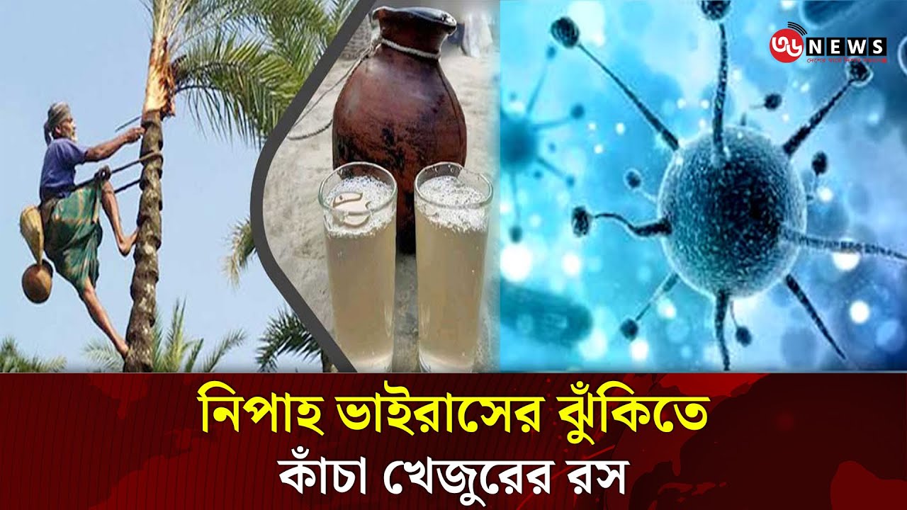 কাঁচা খেজুরের রস খেলে কী হতে পারে—বিশেষজ্ঞদের সতর্কবার্তা। 36news