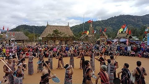 Vũ Điệu Trống Chiêng Người Cơ Tu | Đám Cưới Truyền Thống Người Cơ Tu  | Hội Đâm Trâu