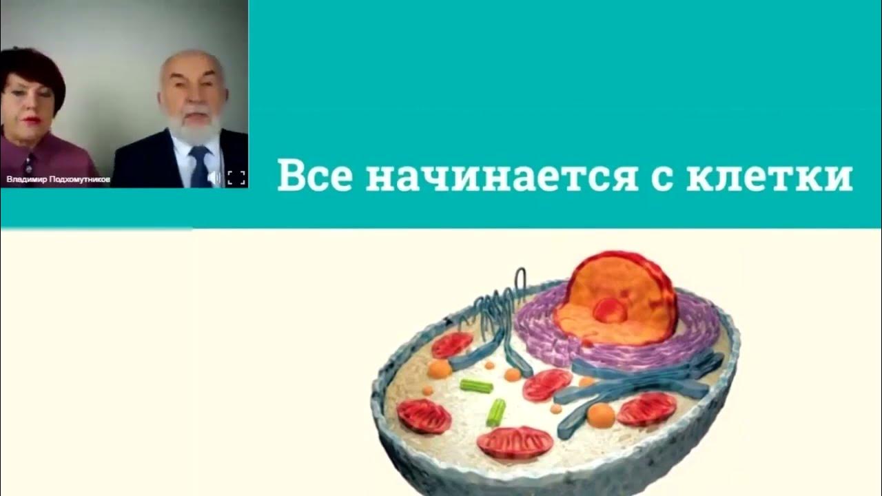 Корал Детокс Плюс Coral Detox Plus - YouTube
