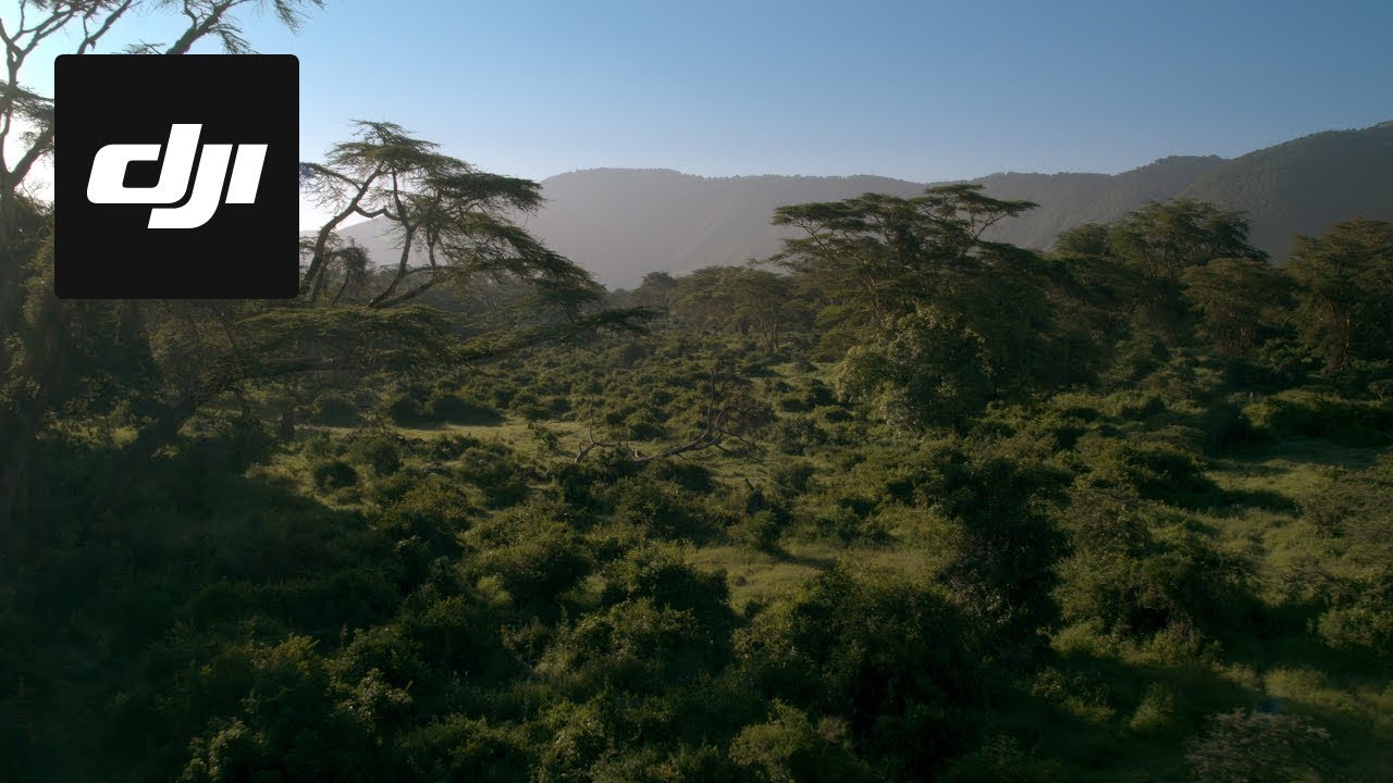 DJI Stories - Capturing Africa’s Garden of Eden - YouTube