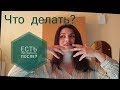 ЧТО делать если завалил ЕНТ??? Есть ли выход? Нужно ли ЕГЭ в России?