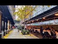 New York City Live Walking Tour in Upper East Side Manhattan (November 15, 2020)