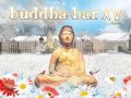 Buddha Bar vol. XV. - Matvey Emerson - Luna 2013